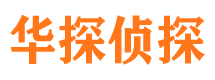 兴国市调查公司